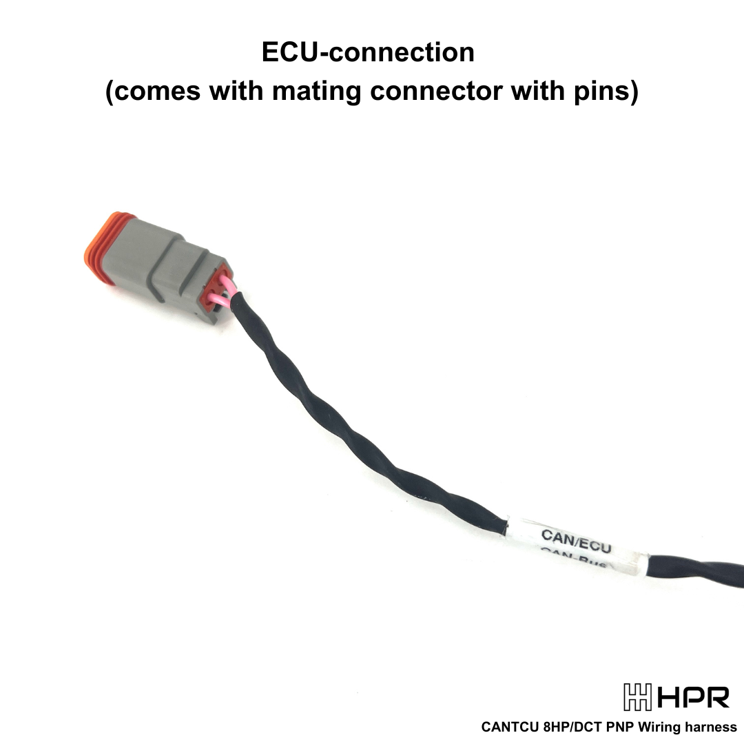 Show the ECU connection point